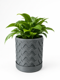 Wave Indoor Planter Pot with Drainage Saucer – 3D Printed Plant Pot